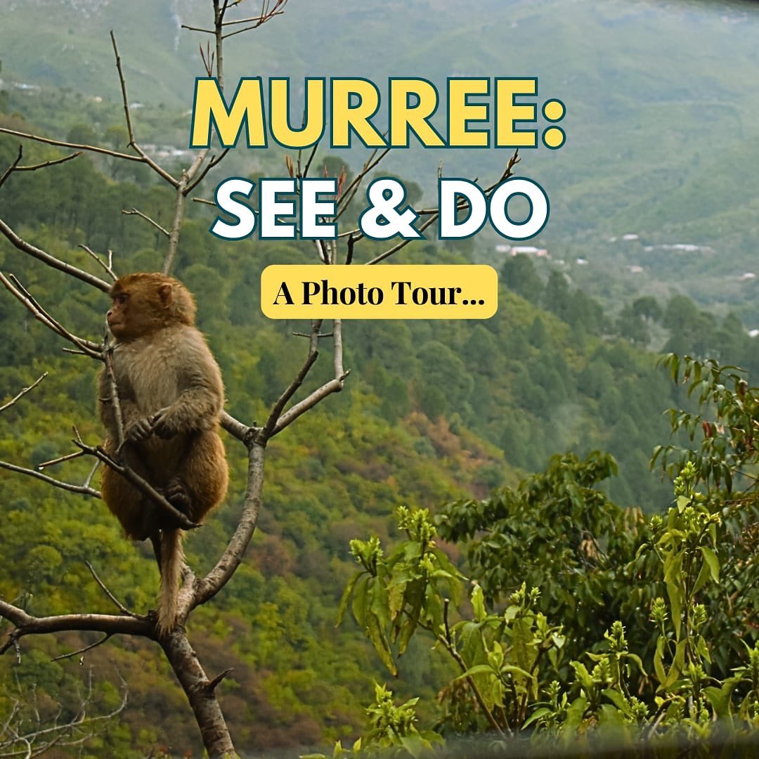 Murree a beautiful hill station